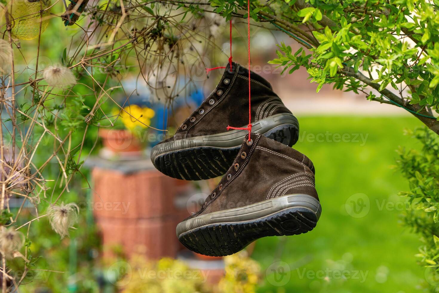 shoes hanging in a garden in spring photo