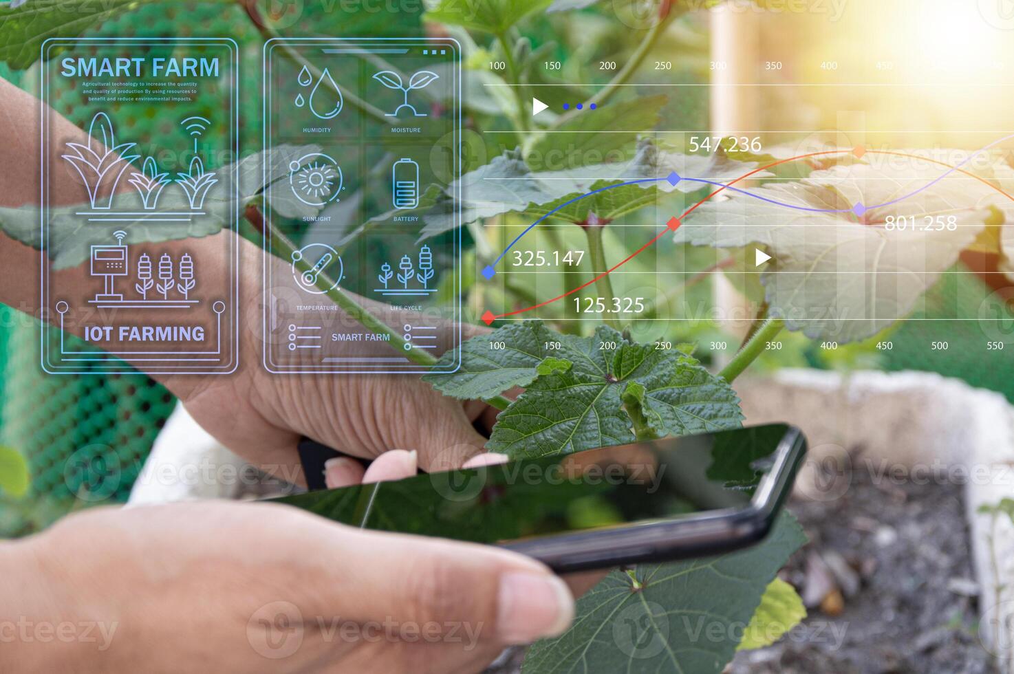 The concept of using AI and smart farming. photo