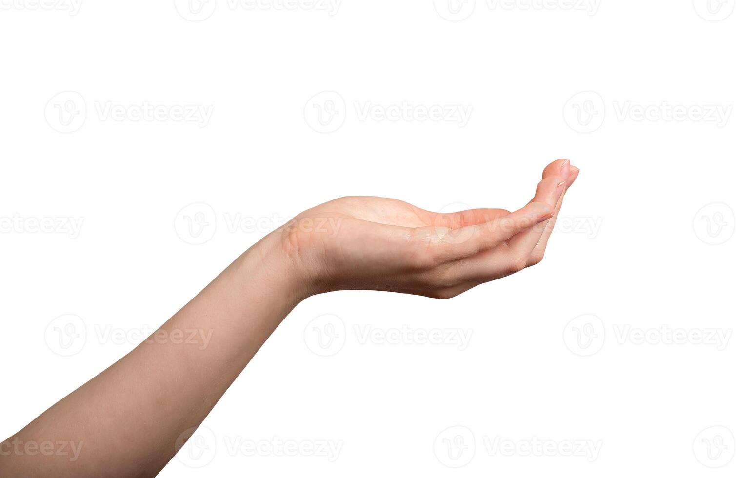 Hand palm, cup shape, showing gesture, holding something, empty, isolated on white background. photo