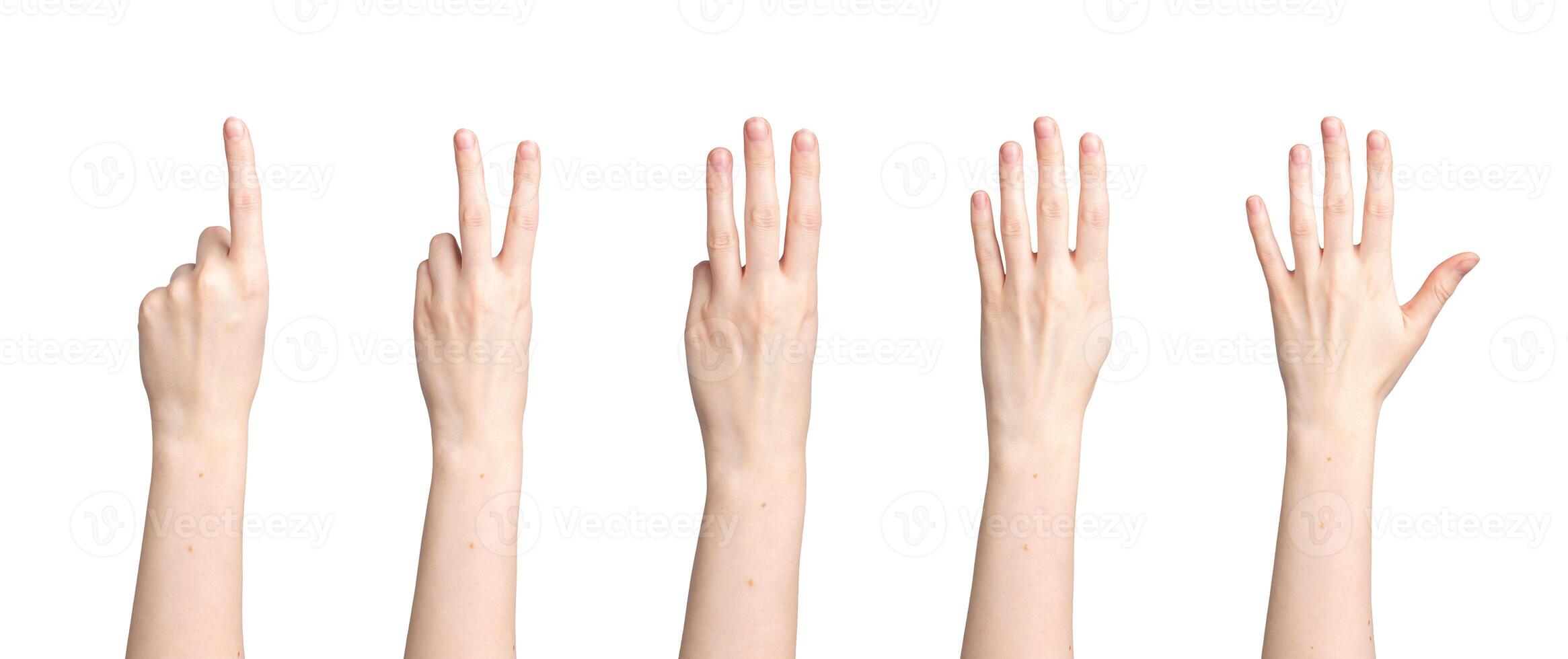 Hand counting, fingers showing digits, numbers from one to five, isolated on white background photo