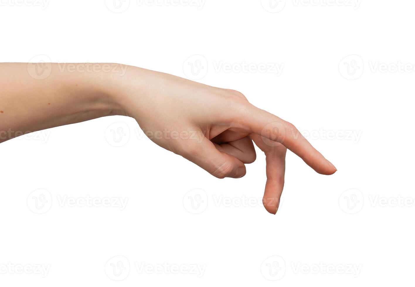 Hand gesture. Showing palm, empty sign. Abstract symbol, nonverbal communication concept. Isolated photo
