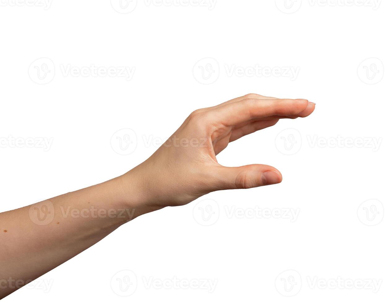 Hand taking, holding something medium, showing gesture, isolated on white background photo