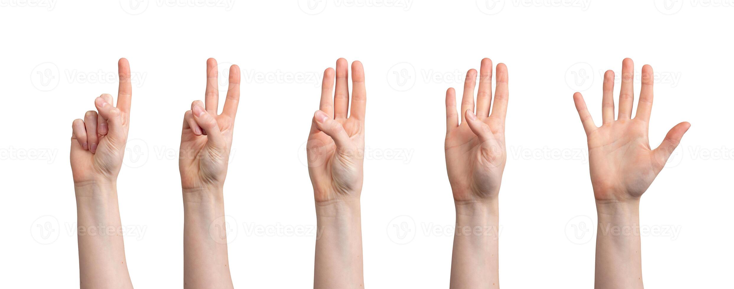 Fingers counting from one to five digits numbers, hand gesture isolated on white background photo
