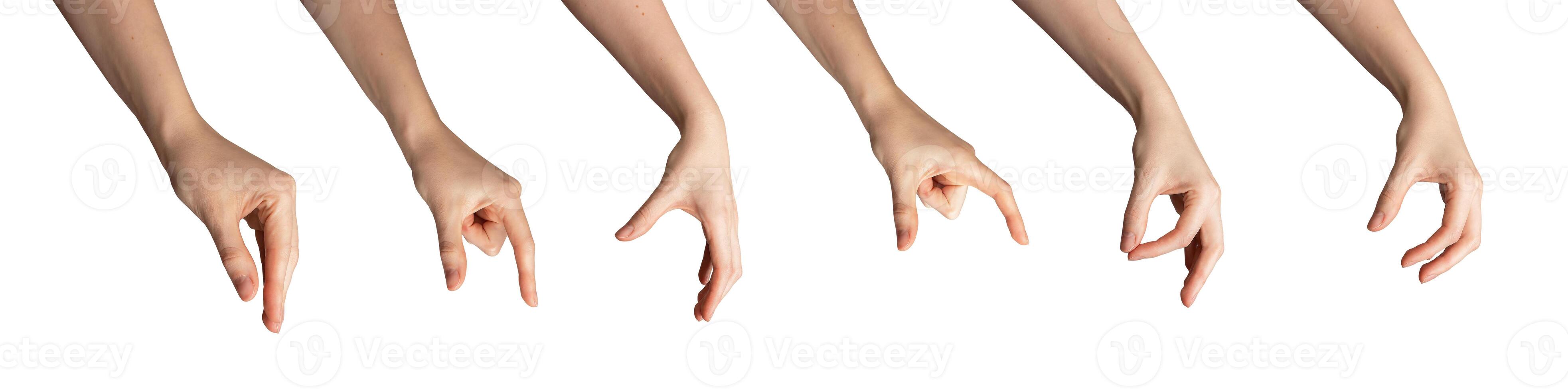 Female hand showing gestures. White palm, arm, fingers in various signs. Concept isolated icon set. photo