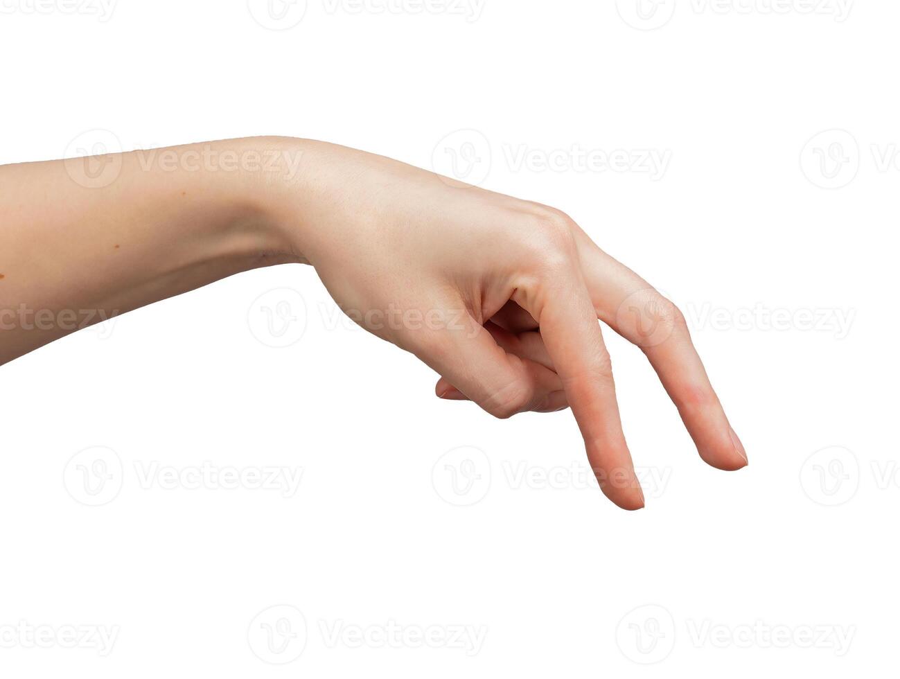 White background, female hand showing gesture. Concept isolated, motion icon for people. Adult woman photo