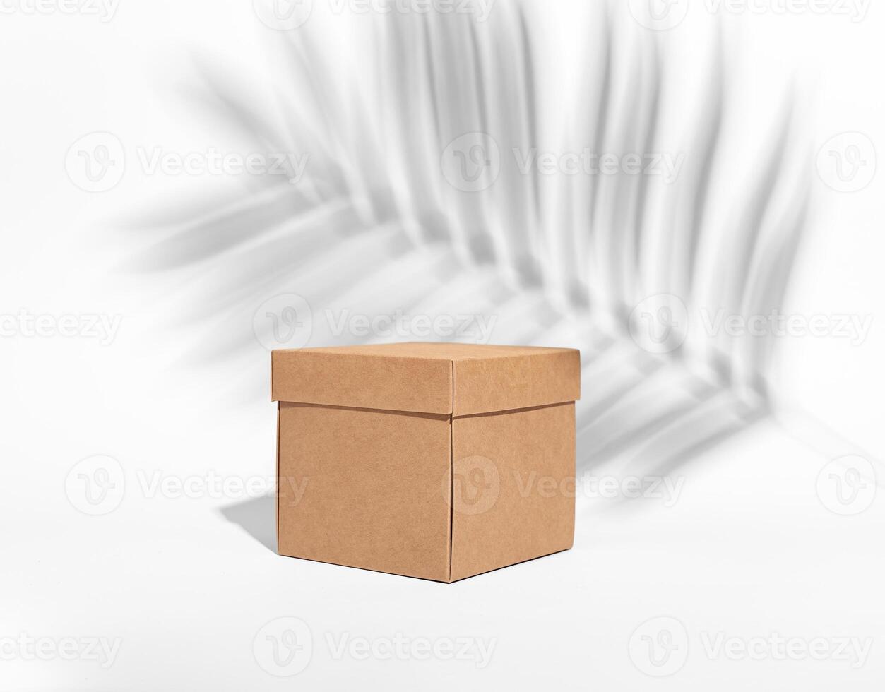 Craft beige box, kraft cardboard, palm leaf shadow photo