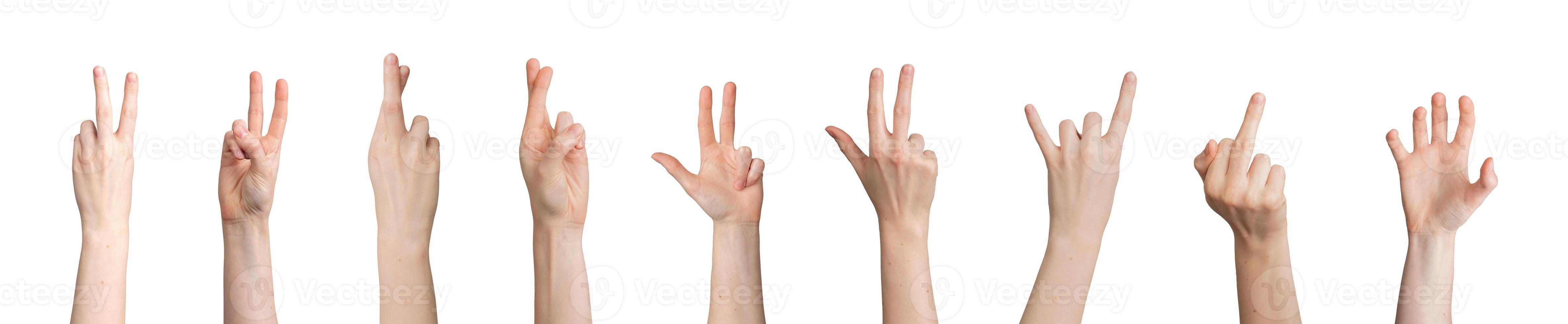 Hand gesture collection. Female showing different signs with fingers, palms, arms. Victory, luck, photo