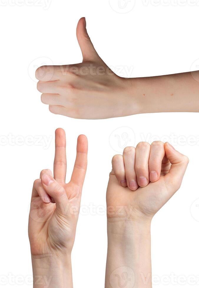 Female hand gestures collection. Caucasian woman showing victory sign, thumbs up, fist, two fingers. photo