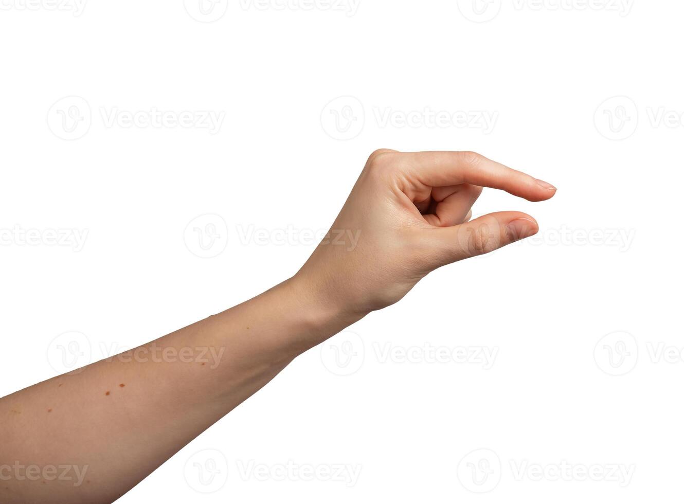 showing hand gesture. Female arm, palm, fingers, wrist in empty, clear, abstract space. Nonverbal photo