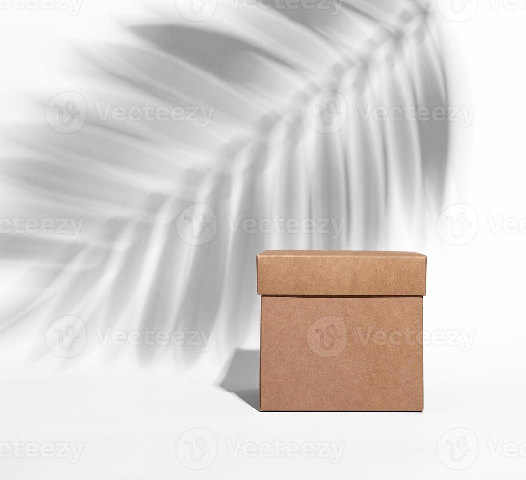 Kraft brown box, craft cardboard, palm leaf shadow photo