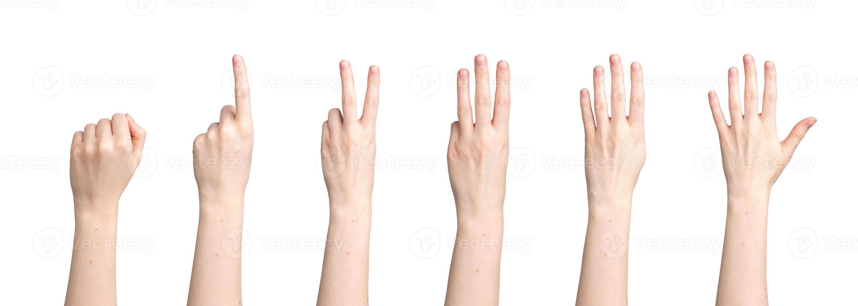 Hand count, fingers showing digits, numbers from zero, one two three four fist to five photo