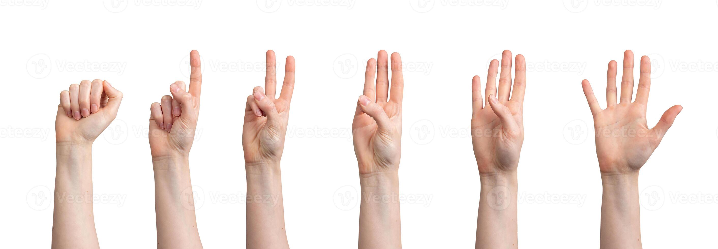Fingers counting from zero, one, two, three, four to five numbers, hand gesture isolated on white photo