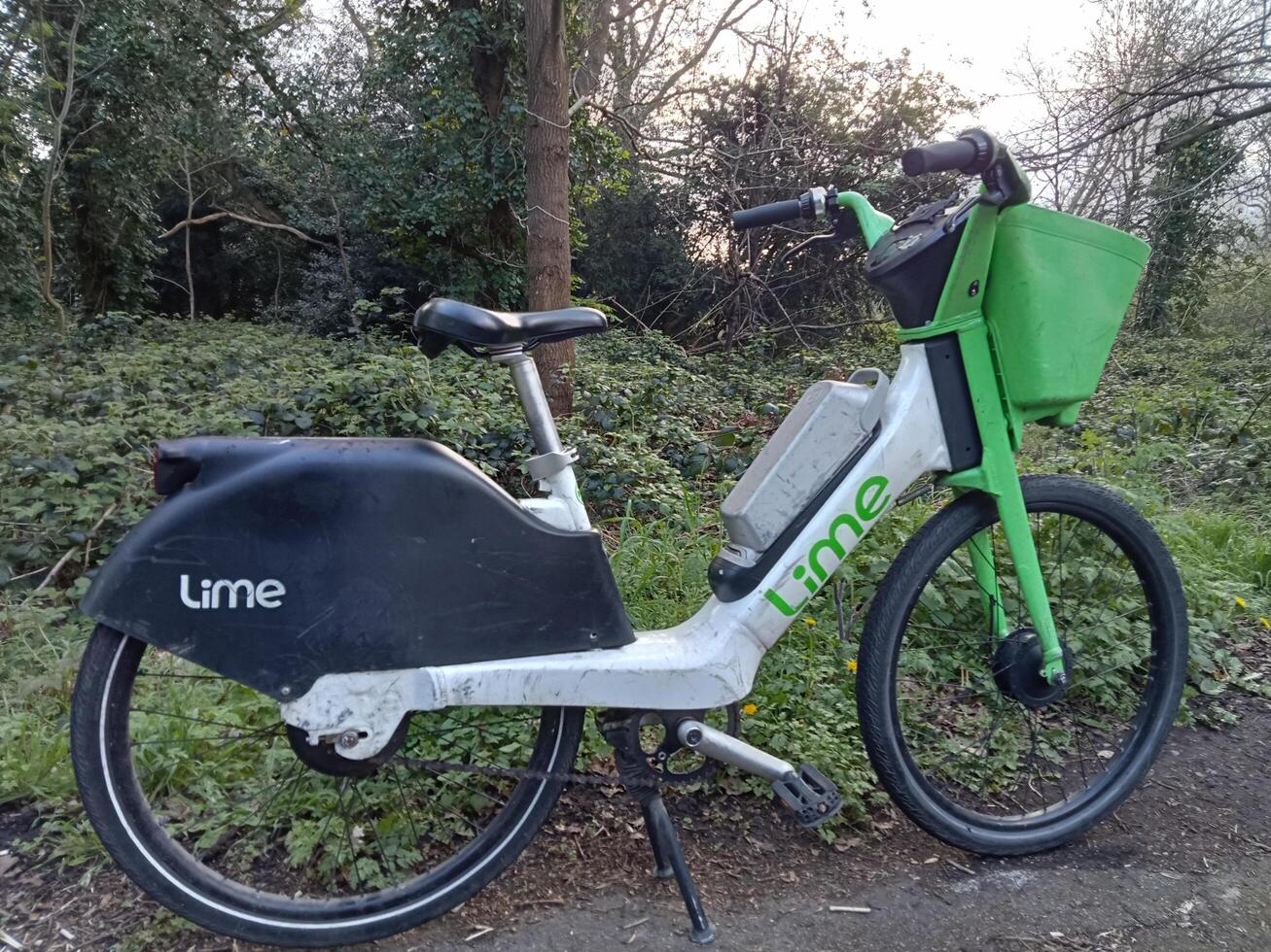 Photo of Lime Bike Share in London