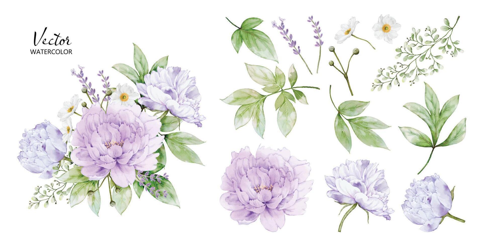 Set of watercolor bouquets with peony flower elements vector