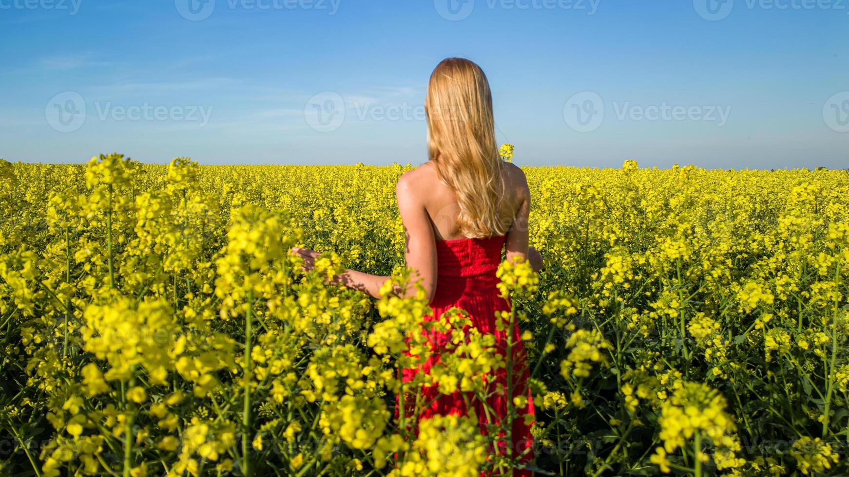 Caucasian woman in red dress in scenic yellow rapeseed field photo
