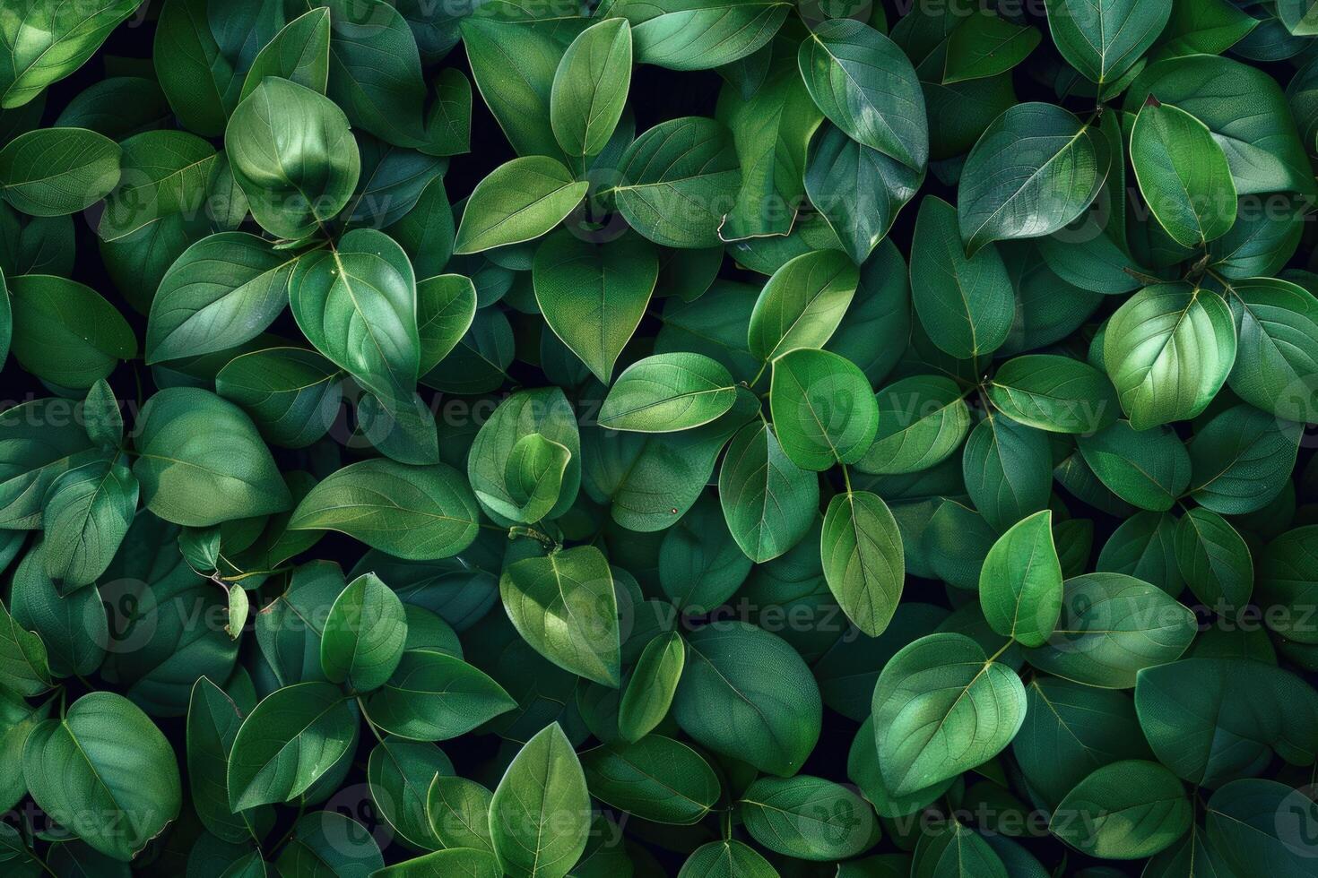 Green leaves pattern background Natural background and wallpaper photo