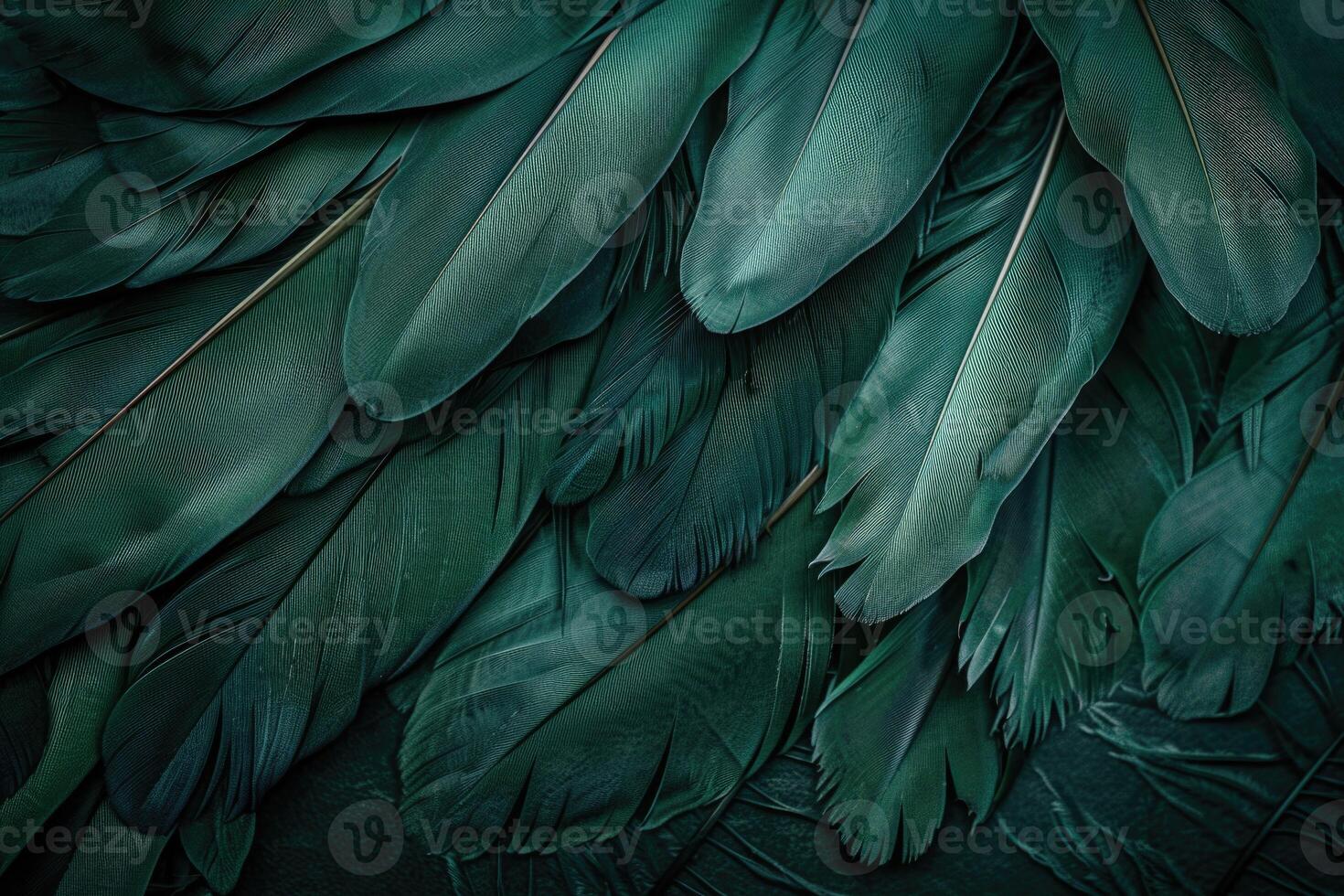 Beautiful dark green viridian vintage color trends feather texture background photo