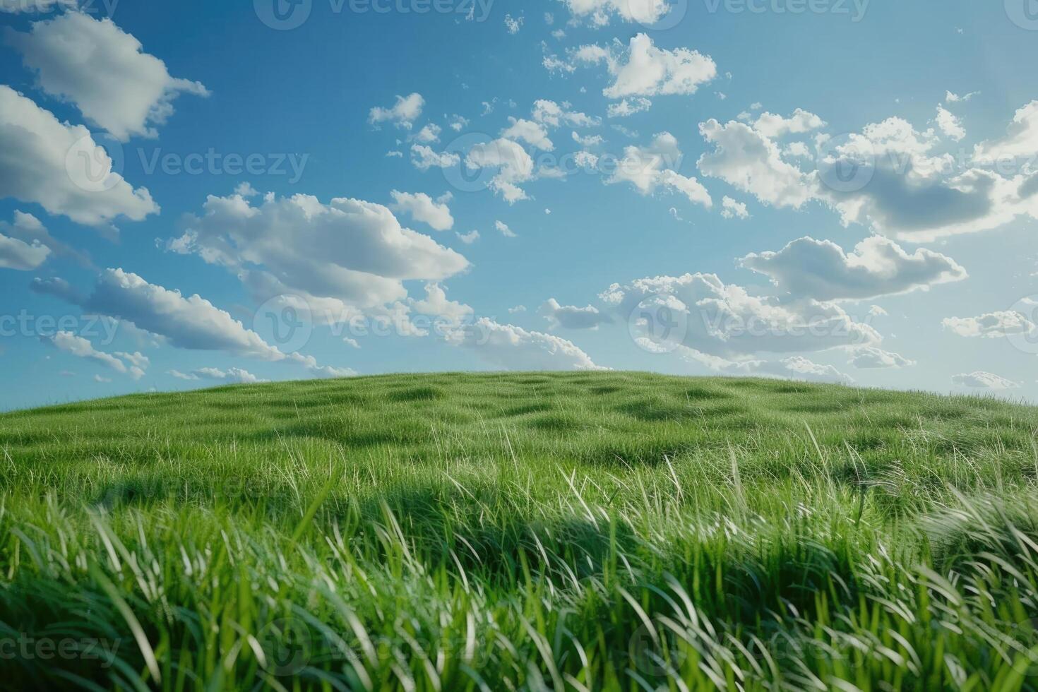 Green grass field on small hills and blue sky with clouds photo