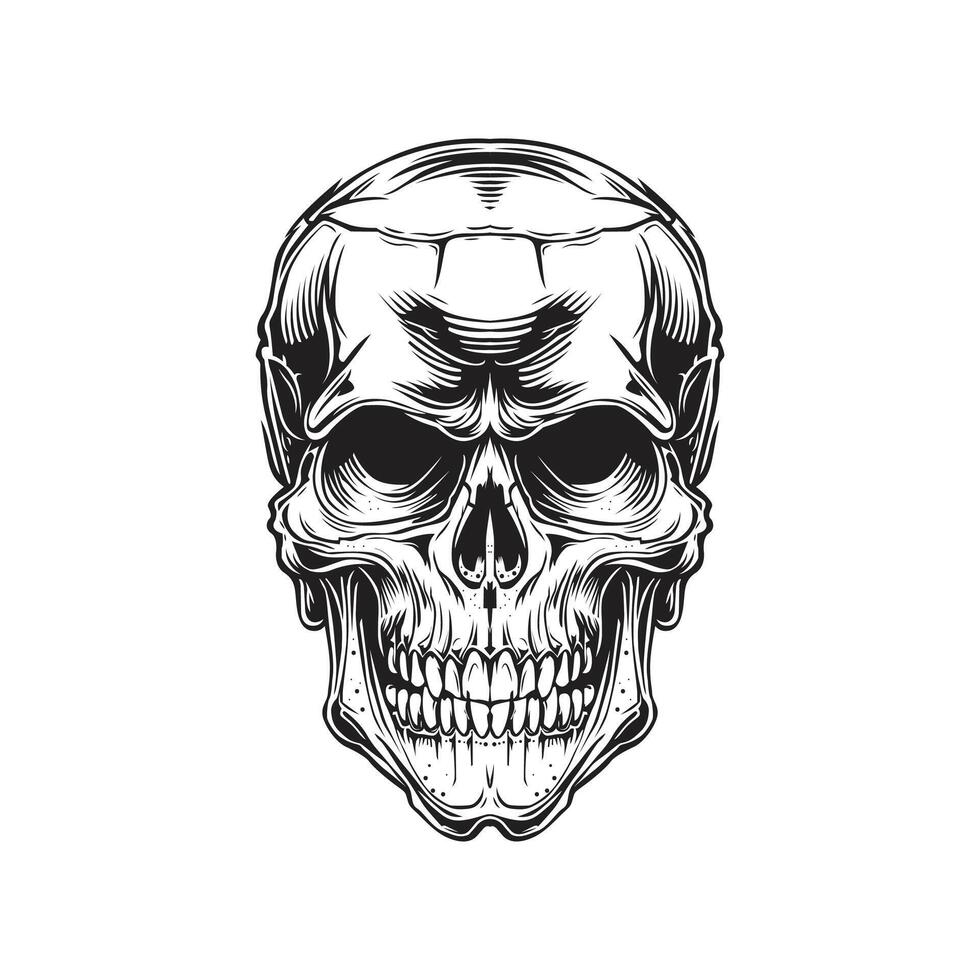Black White Skull vector