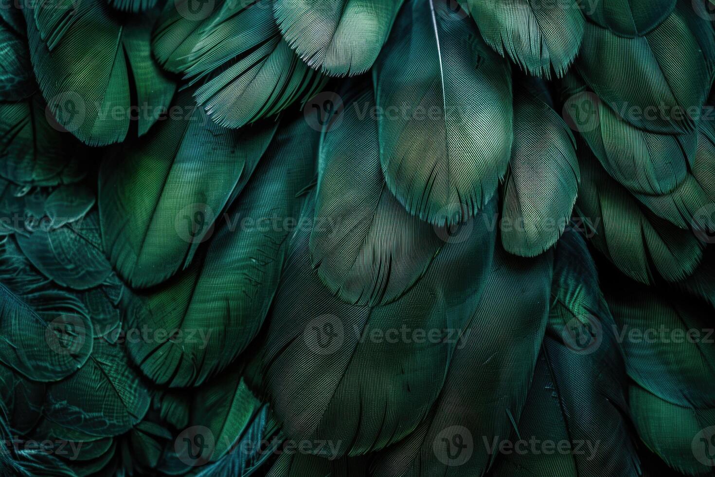 Beautiful dark green viridian vintage color trends feather texture background photo