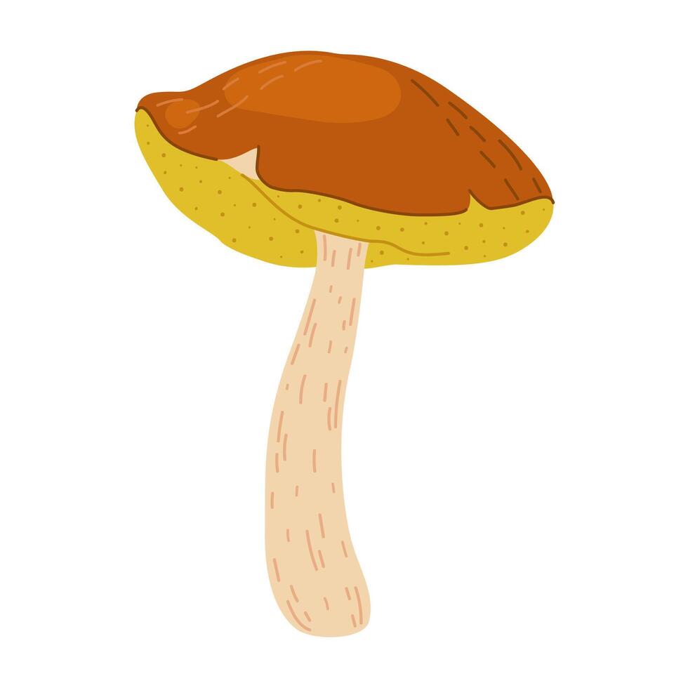 suillus seta. comestible hongo. mano dibujado de moda plano estilo aislado en blanco antecedentes. otoño bosque cosecha, sano orgánico alimento, vegetariano alimento. vector