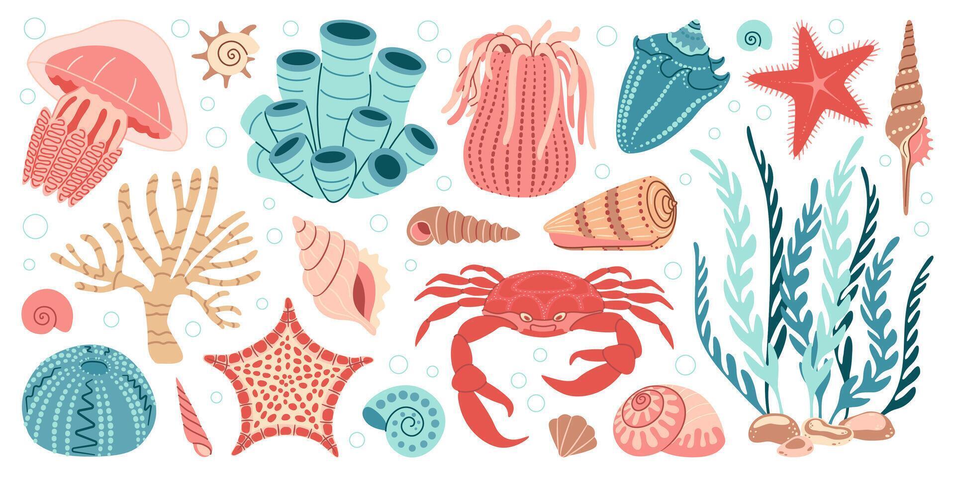 Hand drawn cartoon sea life elements set. Aquatic animals, anemones, crab, algae, shells, starfish, coral reef plants. Trendy flat doodle set underwater ecosystem for your design vector