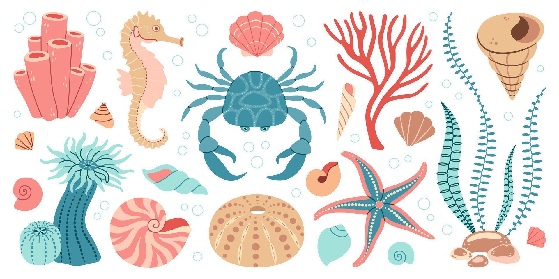 mano dibujado dibujos animados mar vida elementos colocar. acuático animales, anémonas, cangrejo, algas, conchas marinas, estrella de mar, mar caballo. de moda plano garabatear conjunto submarino ecosistema para tu diseño vector