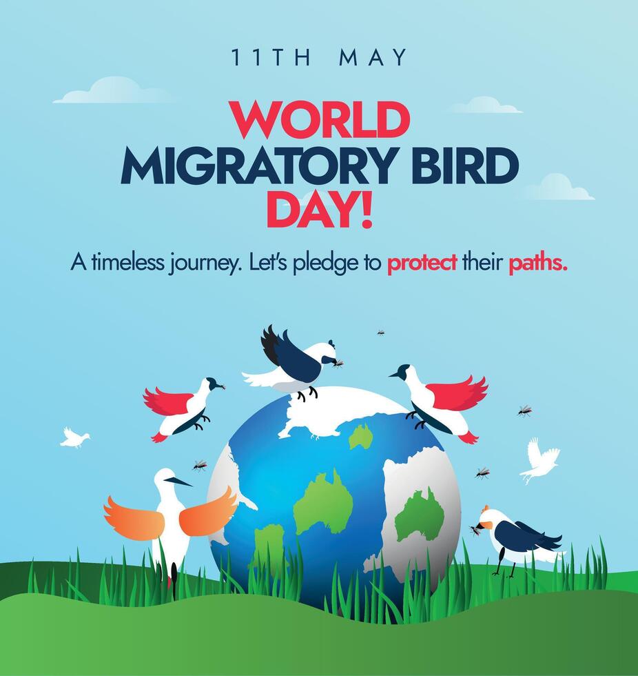 mundo migratorio pájaro día. 11 mayo 2024 mundo migratorio pájaro día celebracion, conciencia bandera con tierra globo y aves alrededor él. el conservación tema esta año es proteger insectos, proteger aves. vector