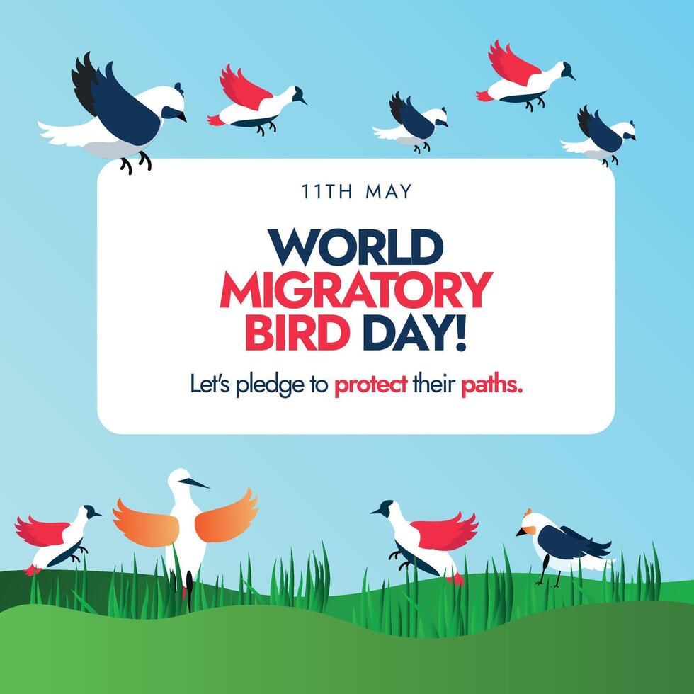 World Migratory birds day. 11th May world migratory birds day celebration, conceptual banner with different birds flying and sitting on grass. Protect Insects, Protect Birds awareness banner. vector