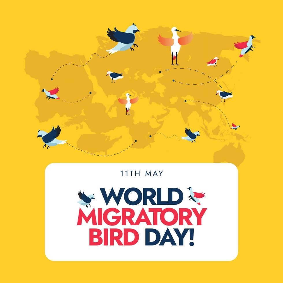 World Migratory Bird day. 11th May World Migratory Bird Day celebration banner with silhouette world map and birds with dotted lines. Migration Birds conservation Awareness banner on yellow background vector