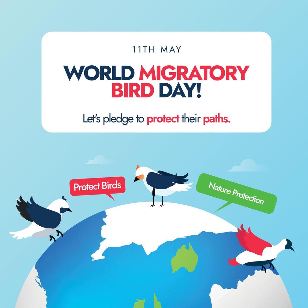 World Migratory Bird Day. 11th May World Migratory bird day celebration banner, social media post with earth globe and birds sitting on it, speech bubbles of protect birds, nature protection. vector