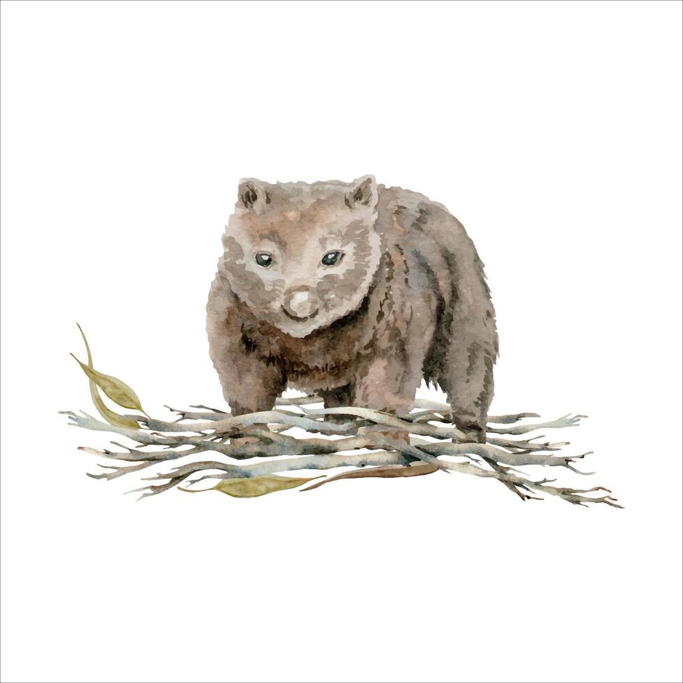 wombat con un pila de seco árbol sucursales. acuarela ilustración aislado en blanco antecedentes. mano dibujado endémico australiano animal para tarjetas diseños, pegatinas y huellas dactilares. nativo fauna silvestre pintura vector