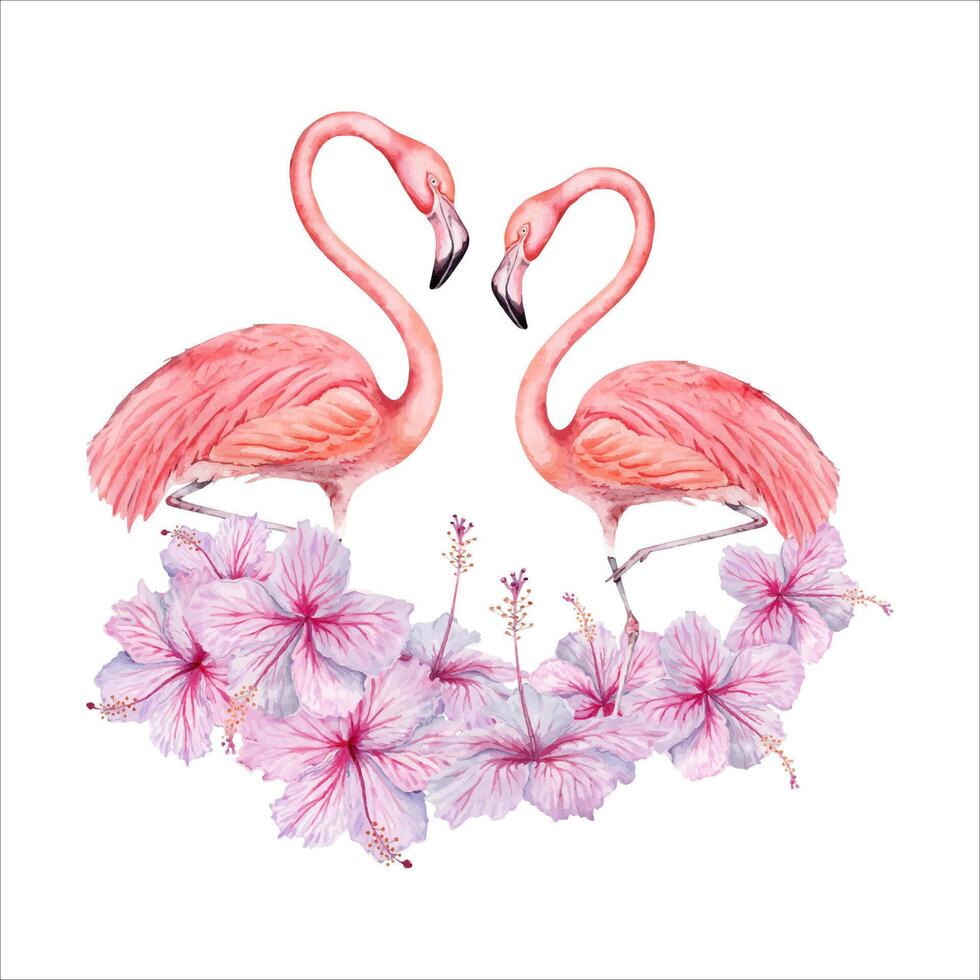 Two flamingo birds with hibiscus flowers watercolor composition. Hand drawn illustration isolated on white background. For tropical cards, party invitations, logos, stickers. Floral and animal prints vector