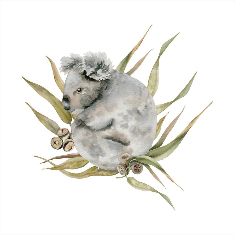 Koala bear with eucalyptus gum tree leaves. Watercolor illustration isolated on white background. Hand drawn endemic Australian animal for cards designs, stickers and prints. Cuddly marsupial mammal. vector