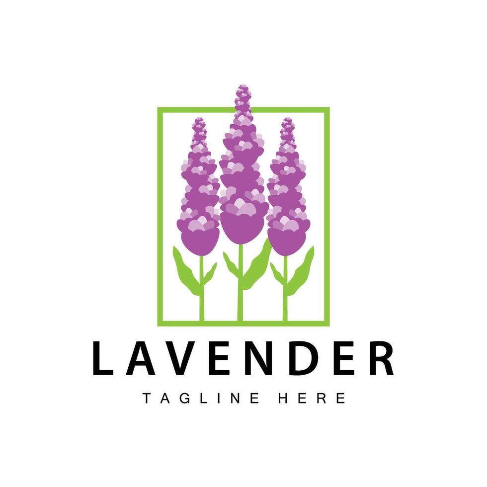 lavanda logo sencillo diseño cosmético planta púrpura color y aromaterapia lavanda flor jardín modelo vector