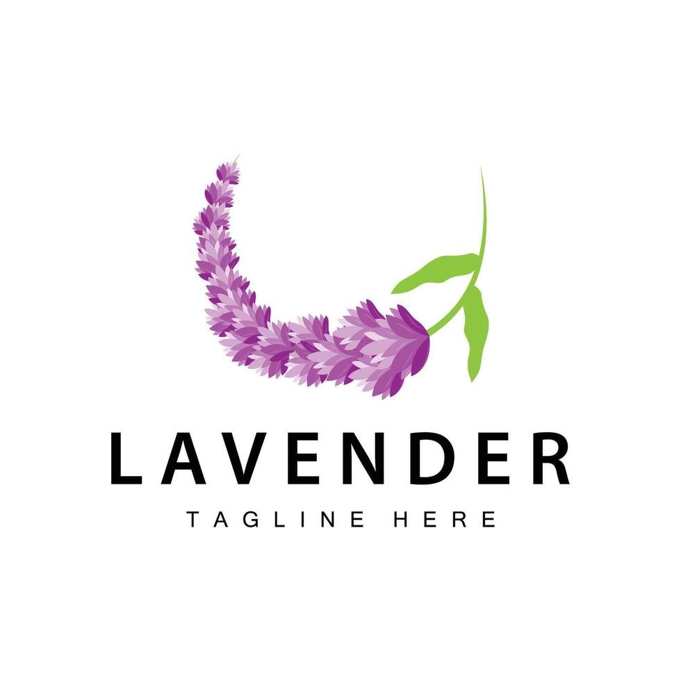 lavanda logo sencillo diseño cosmético planta púrpura color y aromaterapia lavanda flor jardín modelo vector