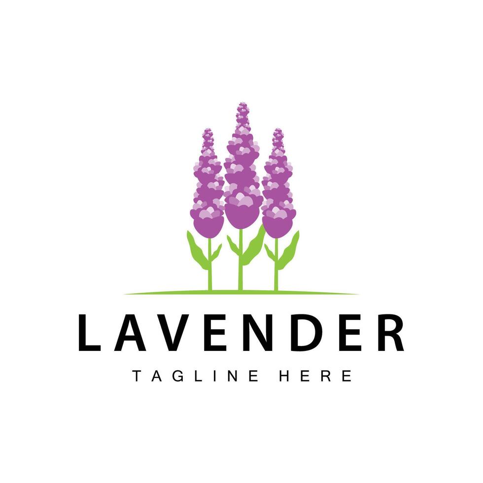 lavanda logo sencillo diseño cosmético planta púrpura color y aromaterapia lavanda flor jardín modelo vector