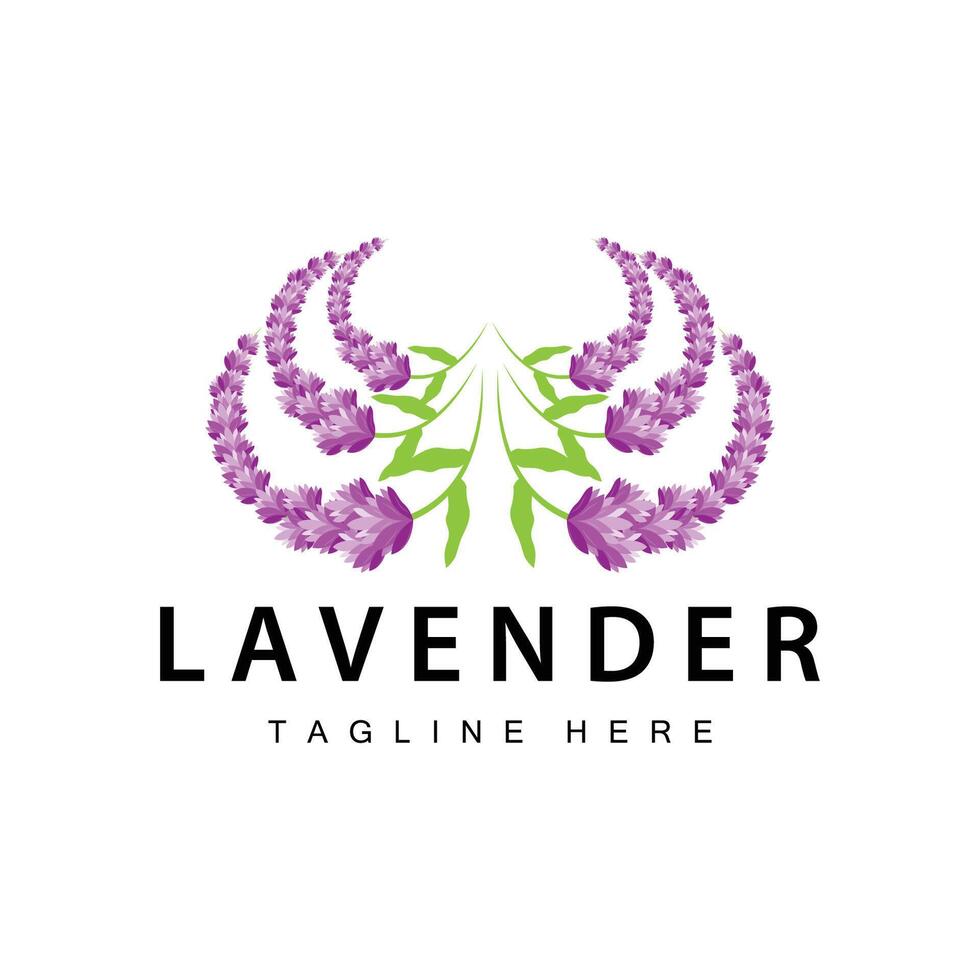 lavanda logo sencillo diseño cosmético planta púrpura color y aromaterapia lavanda flor jardín modelo vector