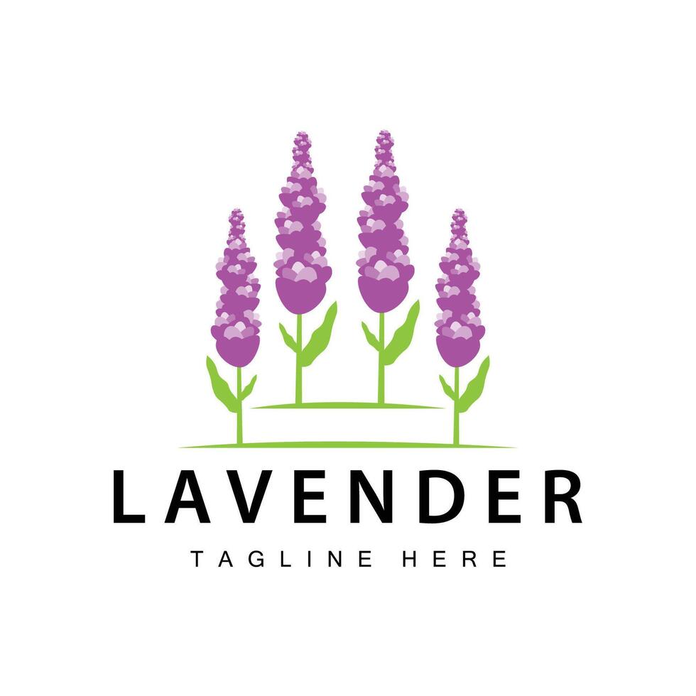 lavanda logo sencillo diseño cosmético planta púrpura color y aromaterapia lavanda flor jardín modelo vector