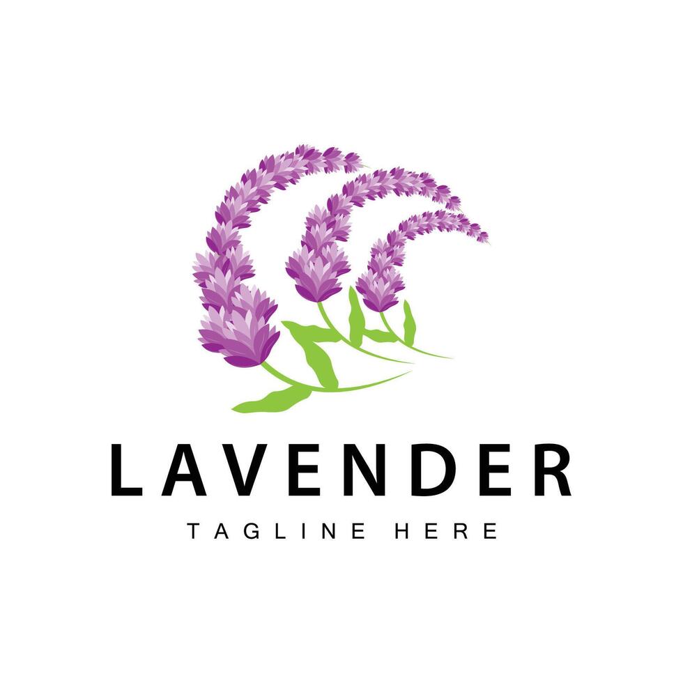 lavanda logo sencillo diseño cosmético planta púrpura color y aromaterapia lavanda flor jardín modelo vector