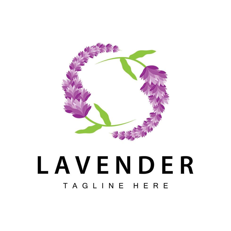 lavanda logo sencillo diseño cosmético planta púrpura color y aromaterapia lavanda flor jardín modelo vector