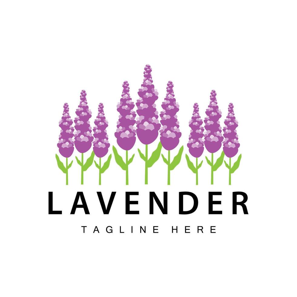 lavanda logo sencillo diseño cosmético planta púrpura color y aromaterapia lavanda flor jardín modelo vector