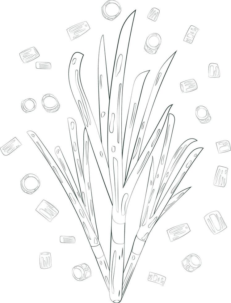 Chopped Green Onion Element Chives Slices Illustration Graphic Element Art Card vector