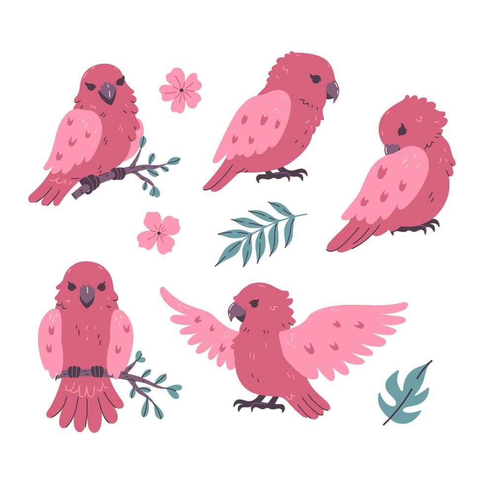 conjunto de linda rosado loros aislado en blanco antecedentes. gráficos. vector