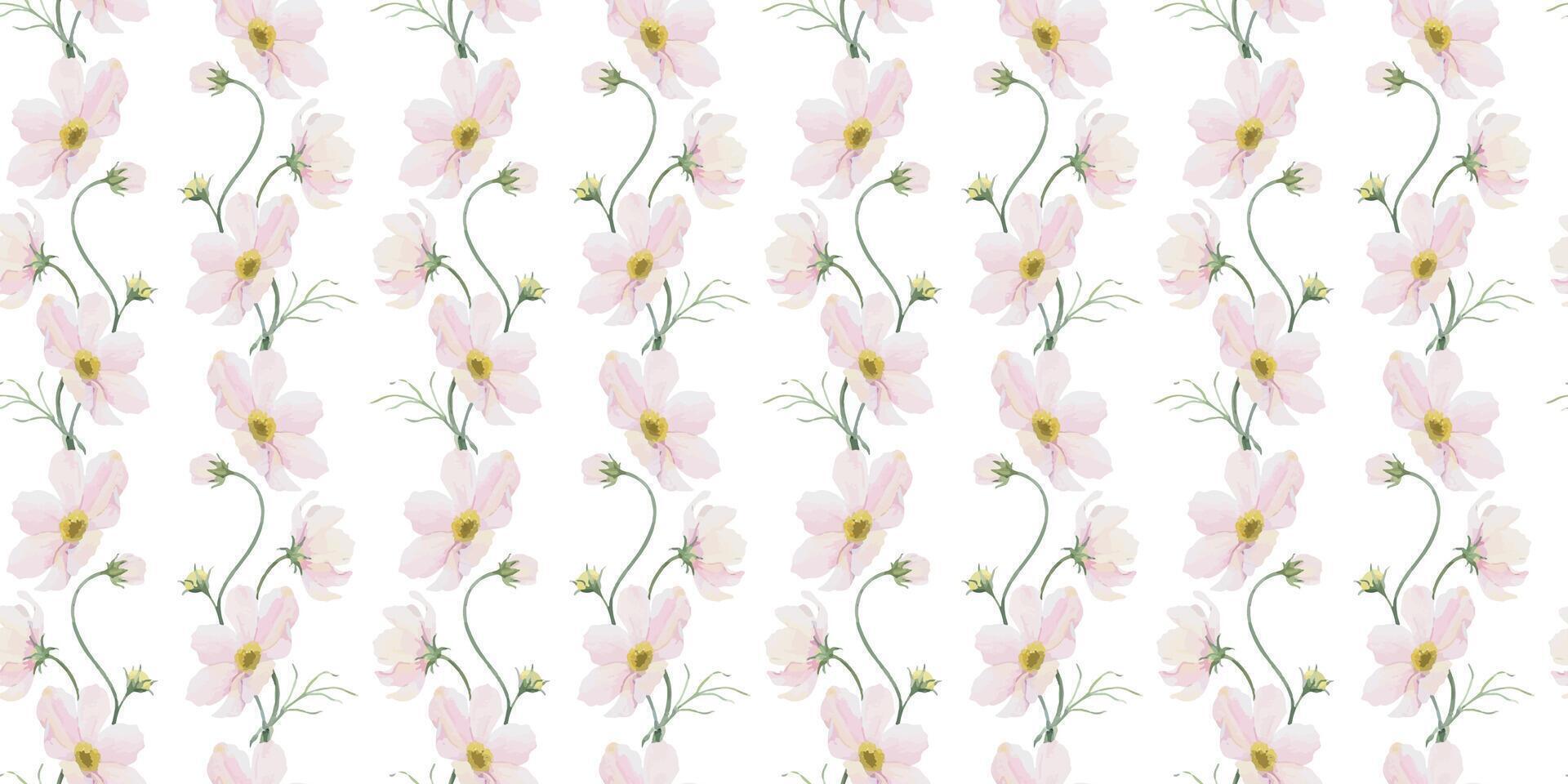 Print of pink and white Cosmea flowers. Cosmos bipinnatus. Hand drawn watercolor seamless pattern of Mexican aster. Summer floral background for wedding design, textiles, wrapping paper, scrapbooking vector