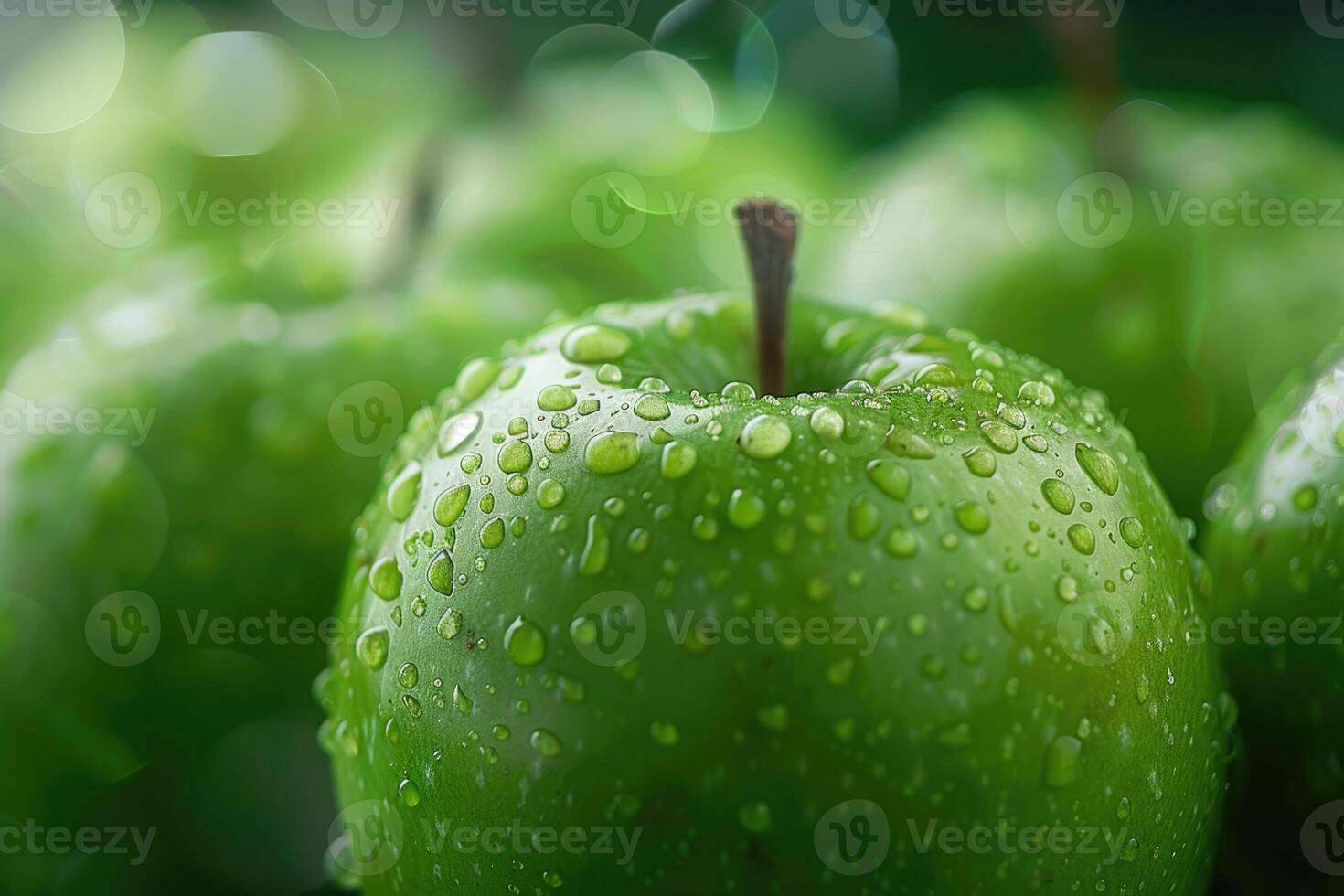 Green Apple Green Apple Background shallow depth of field. photo