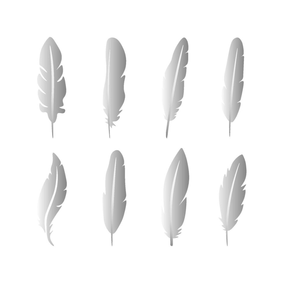 collection of feathers. Isolated on a white background. illustration vector