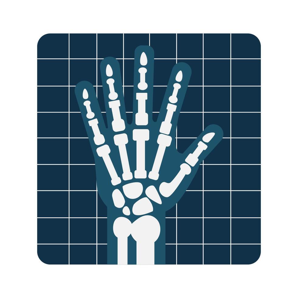 X-ray style human hand. illustration vector