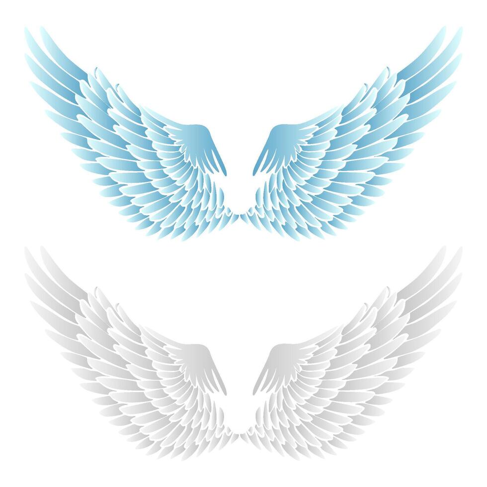 realistic wings isolated on white background. illustration vector