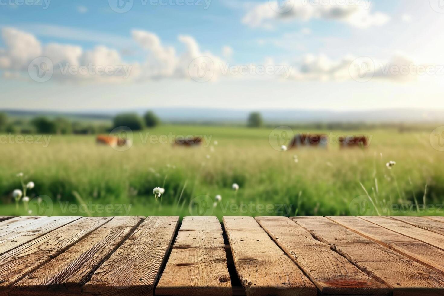 empty wooden table on cow grass land photo